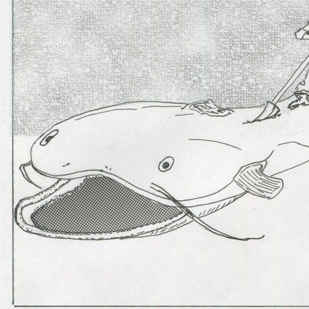 ねまキ