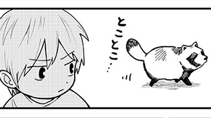 すーぱーたぬきぶらざーず